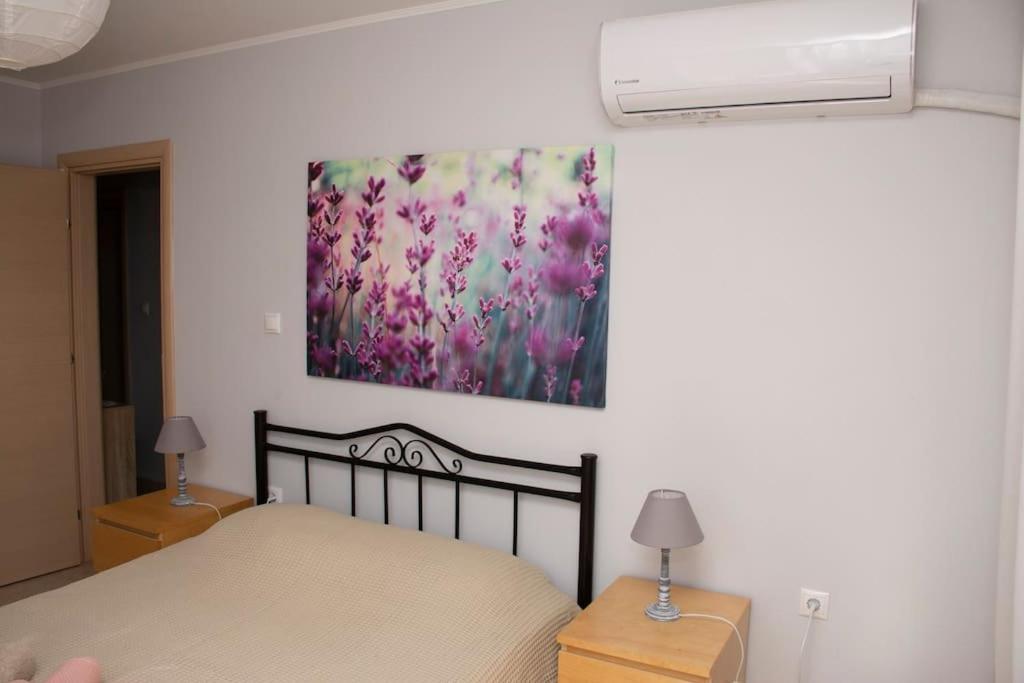 Anadora 2: Hospitable Stone House With Yard Apartment อเล็กซานโดรโพลิส ภายนอก รูปภาพ